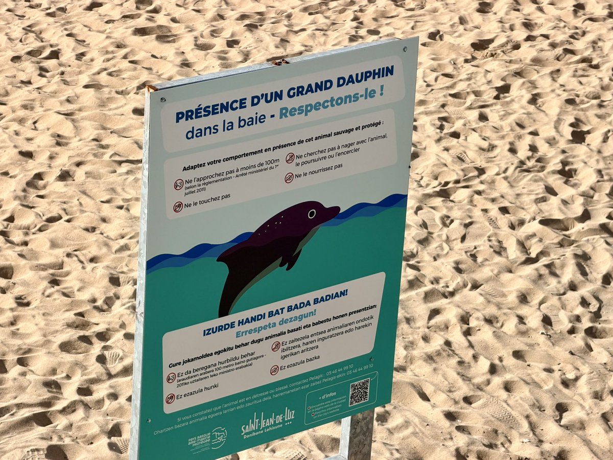 SuperMalouin 🌈 tweet media