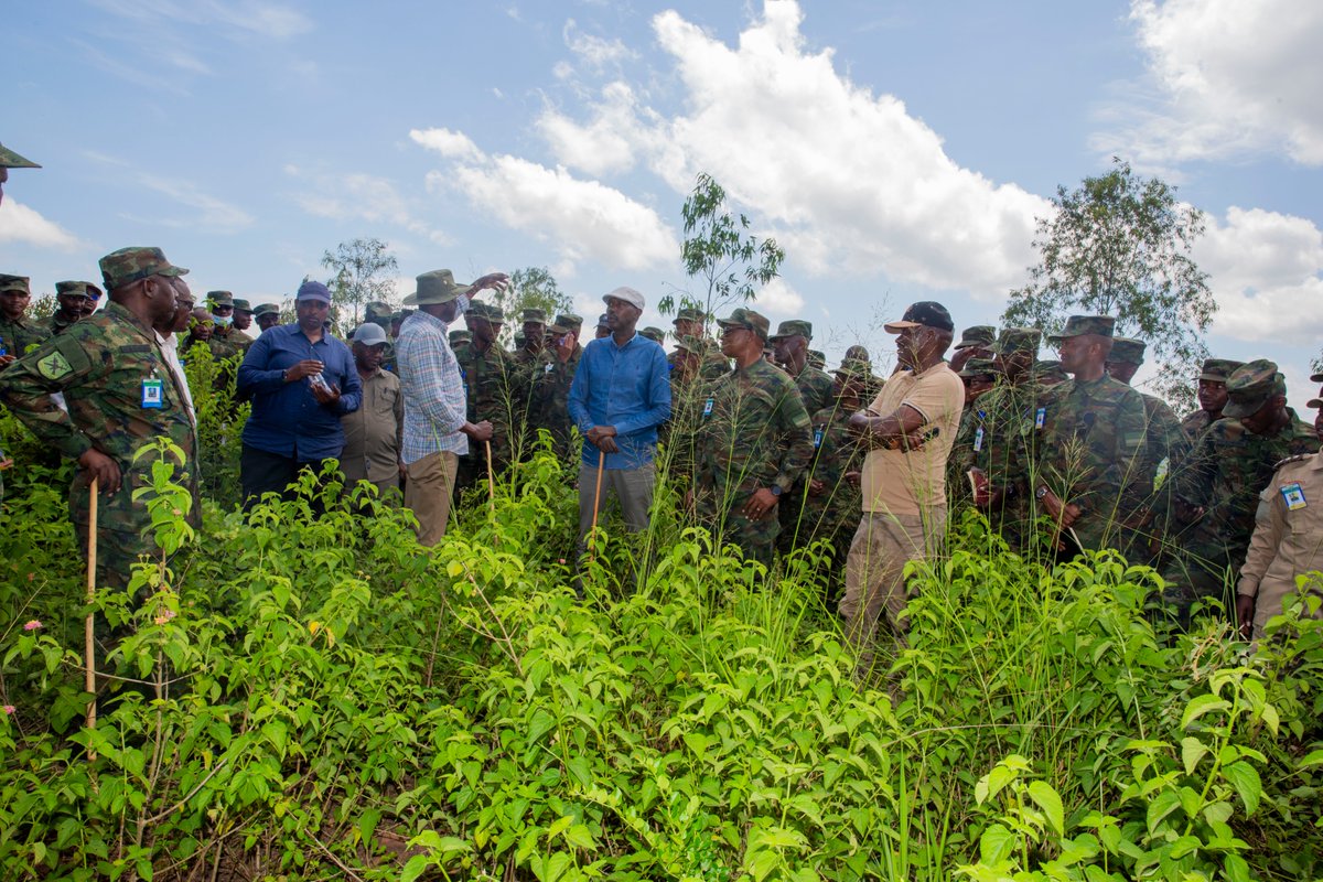 Rwanda Defence Force tweet media