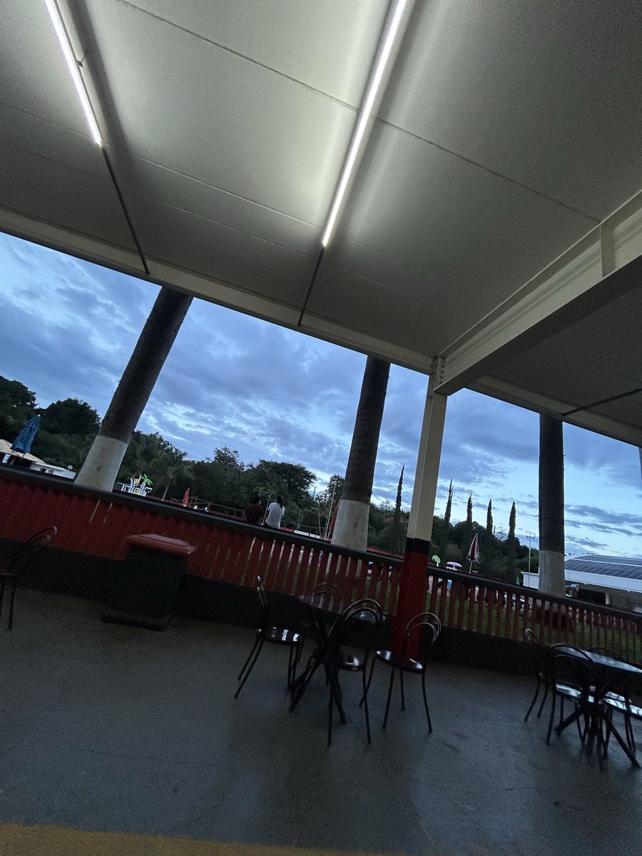 primaaLz tweet media