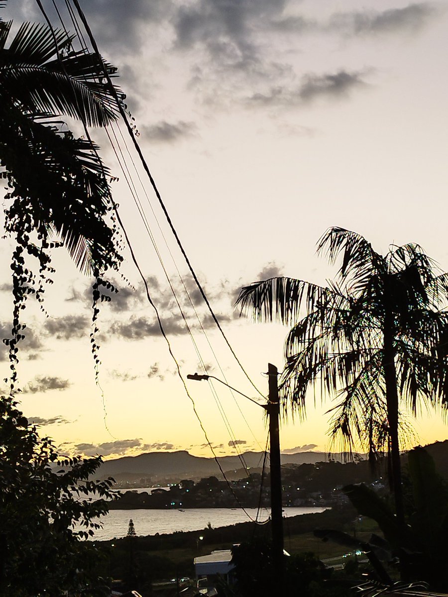 Mario Neto tweet media