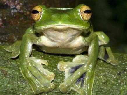 أ.هشام | الدهاش🥈 tweet media