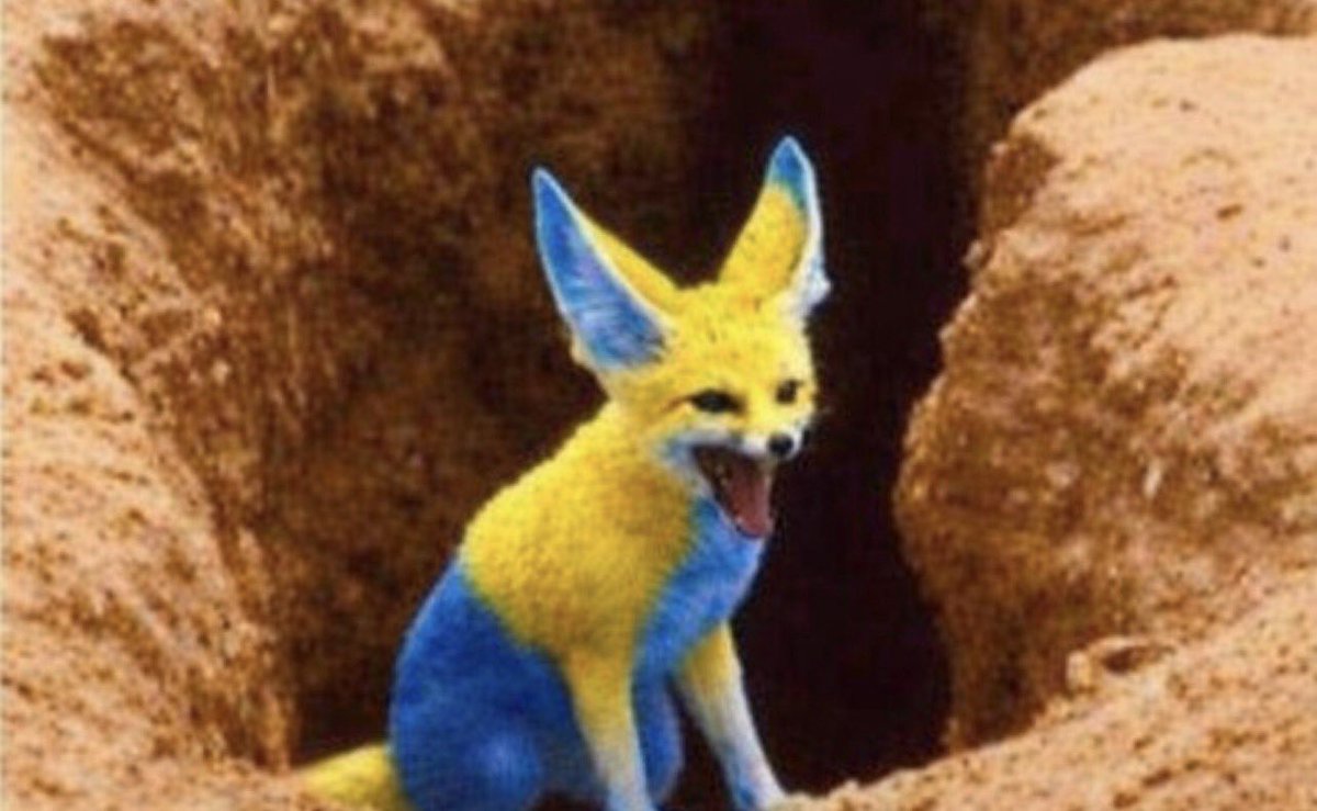 أ.هشام | الدهاش🥈 tweet media