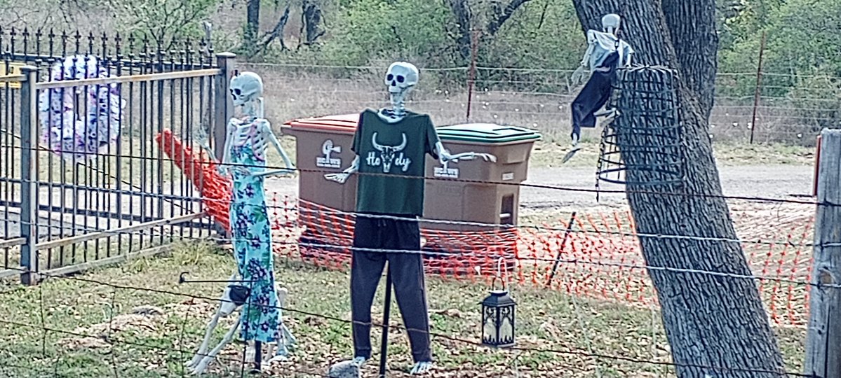 Neighborhood meth heads ready for spring break😆😆