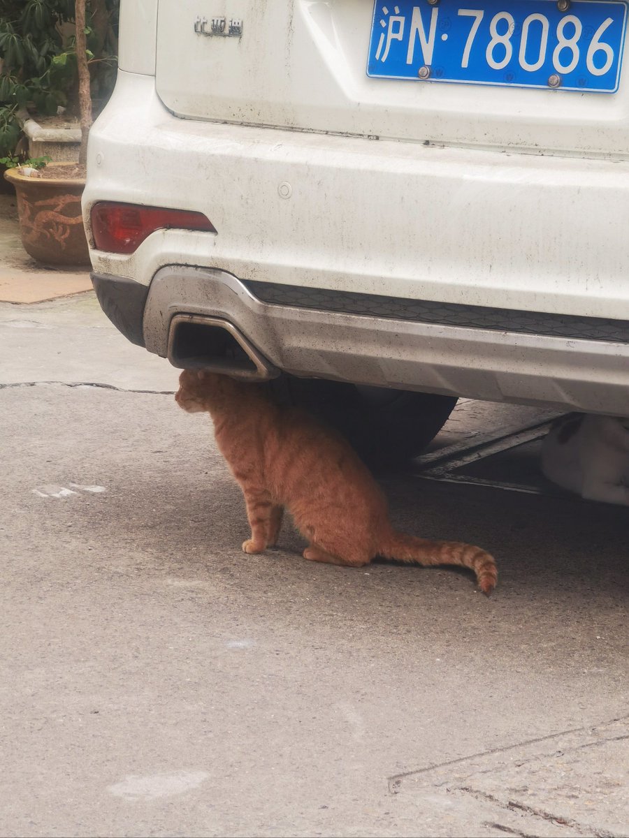 Cynthia Thompson tweet media