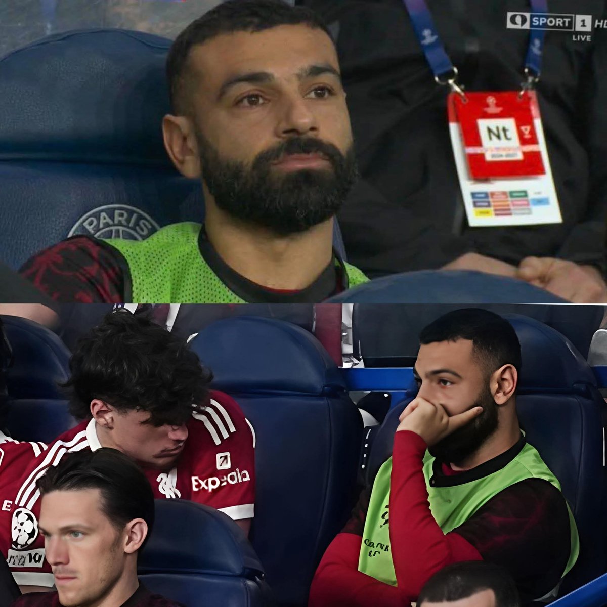 Elmanshar | المنشر tweet media