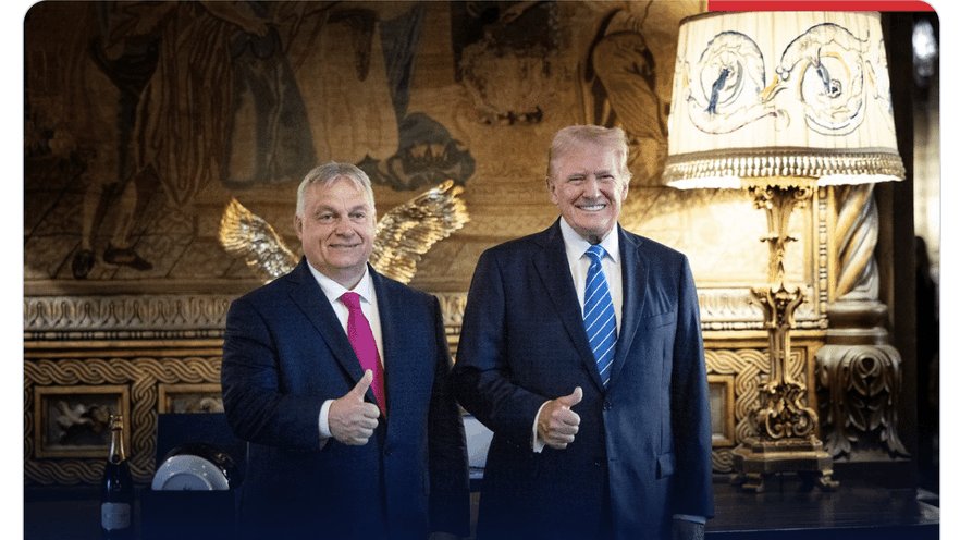 Mike Young tweet media