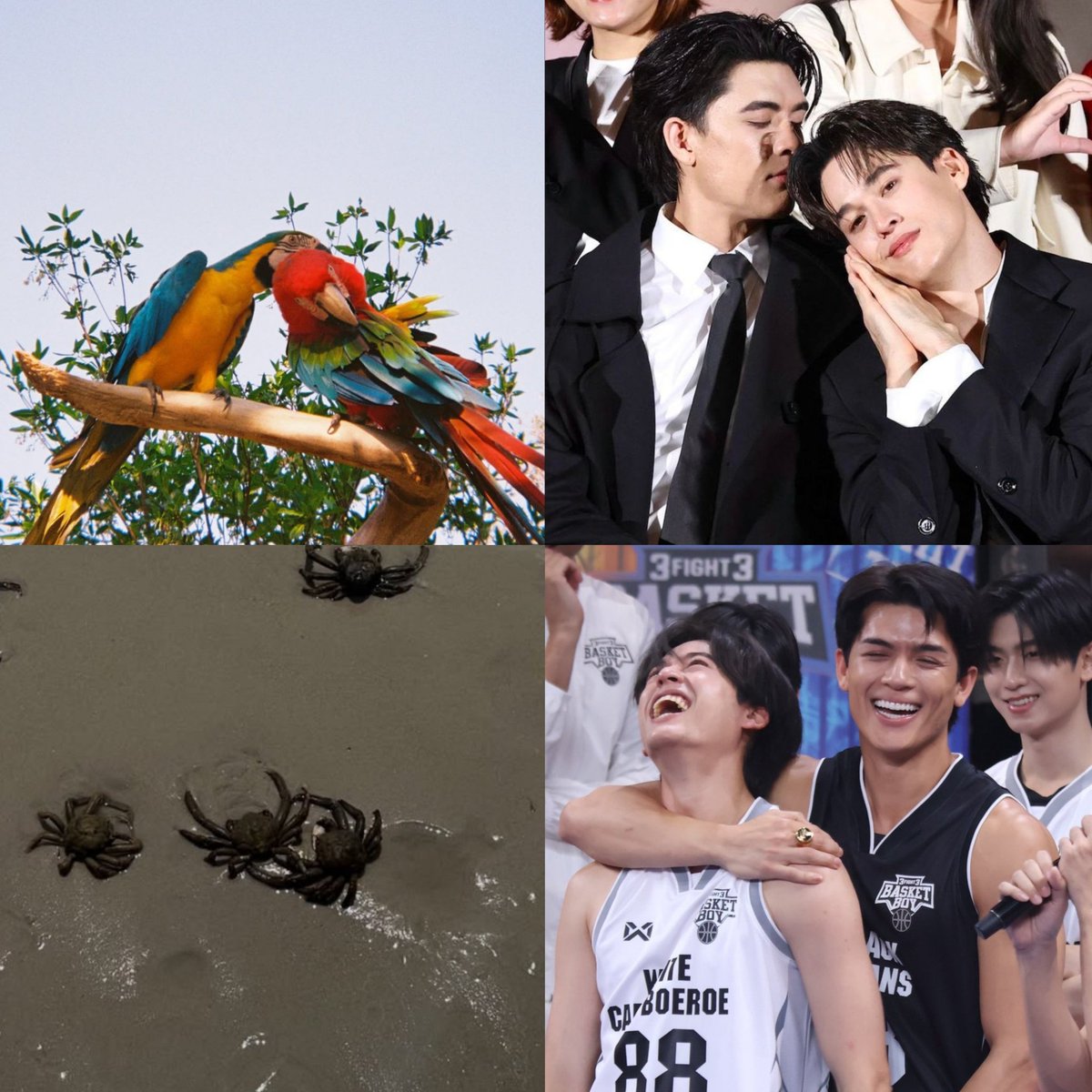 genuine queer🥀 tweet media