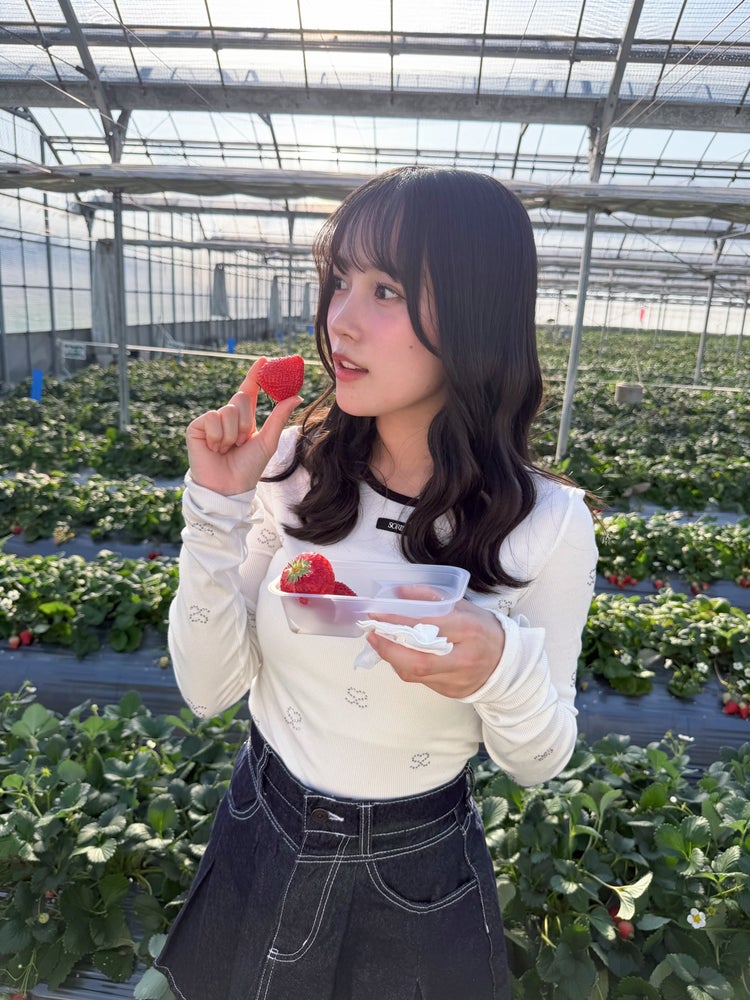 🍎🍇ぽったぁ🍇🍎(だいた) tweet media