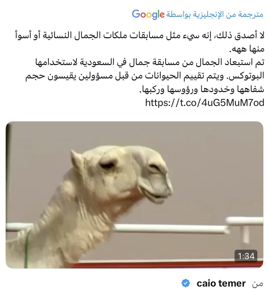 طلال الشمري tweet media