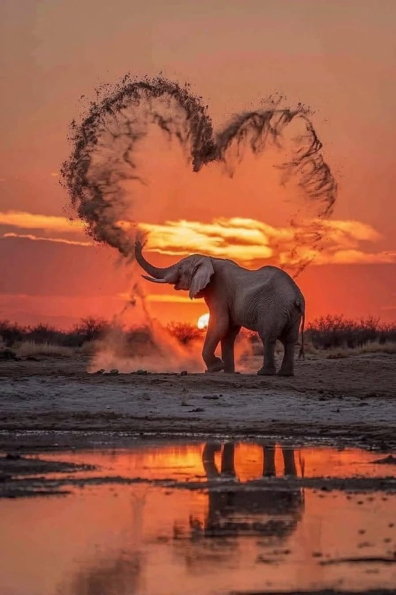 Nature Beauty tweet media