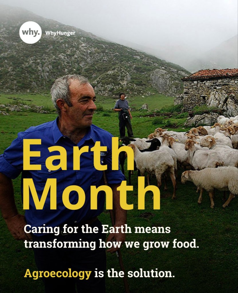 WhyHunger tweet media