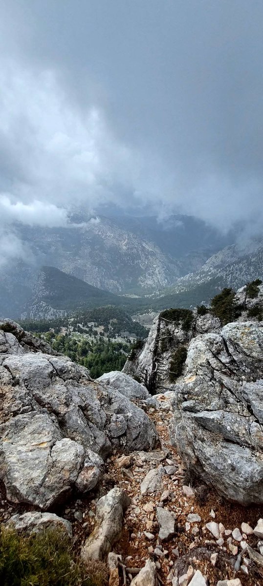 YÖRÜK🇹🇷🍀 tweet media