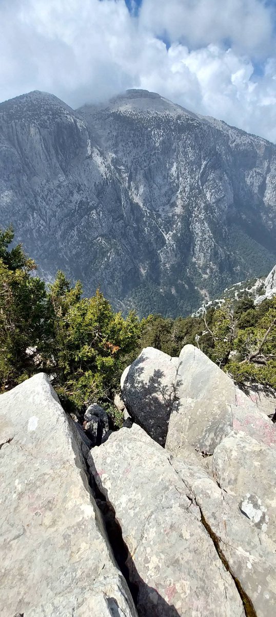 YÖRÜK🇹🇷🍀 tweet media