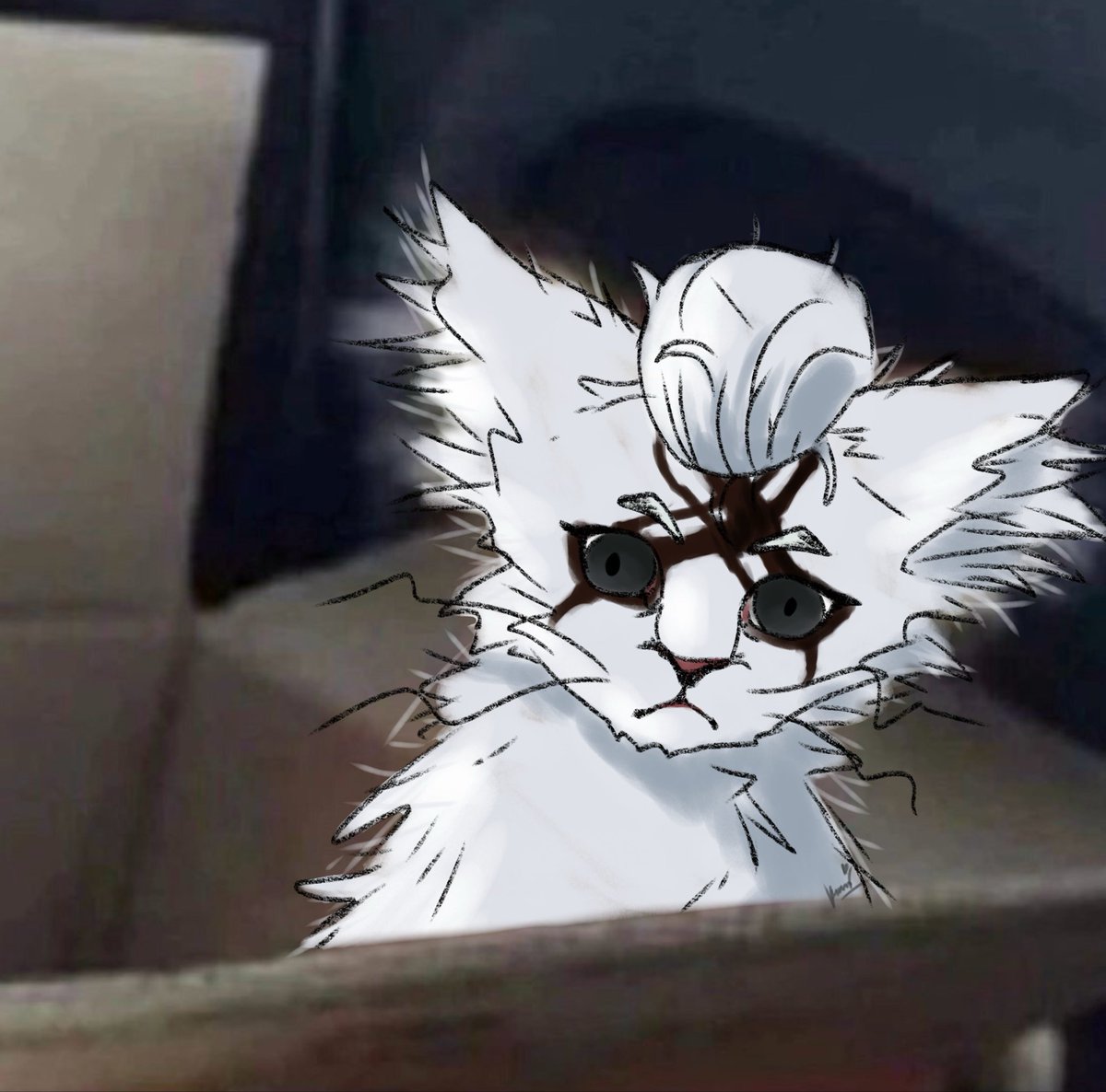 I found this cat and it reminded me of Xeno so I drew him ✖️
#DrSTONE #drst #Xeno