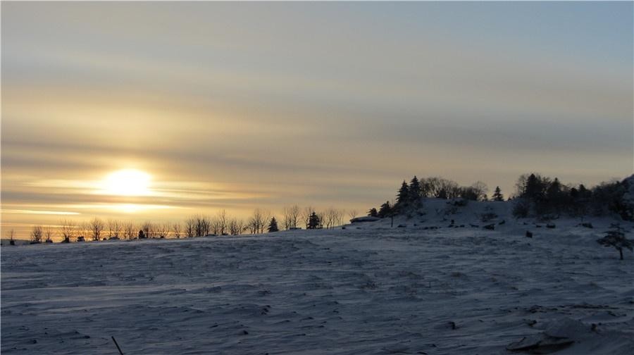 Laura Marie tweet media