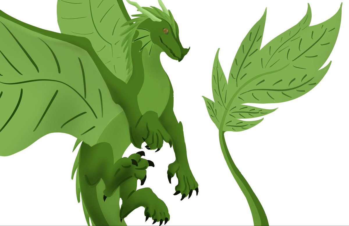 Byogo 🫐🍃 tweet media