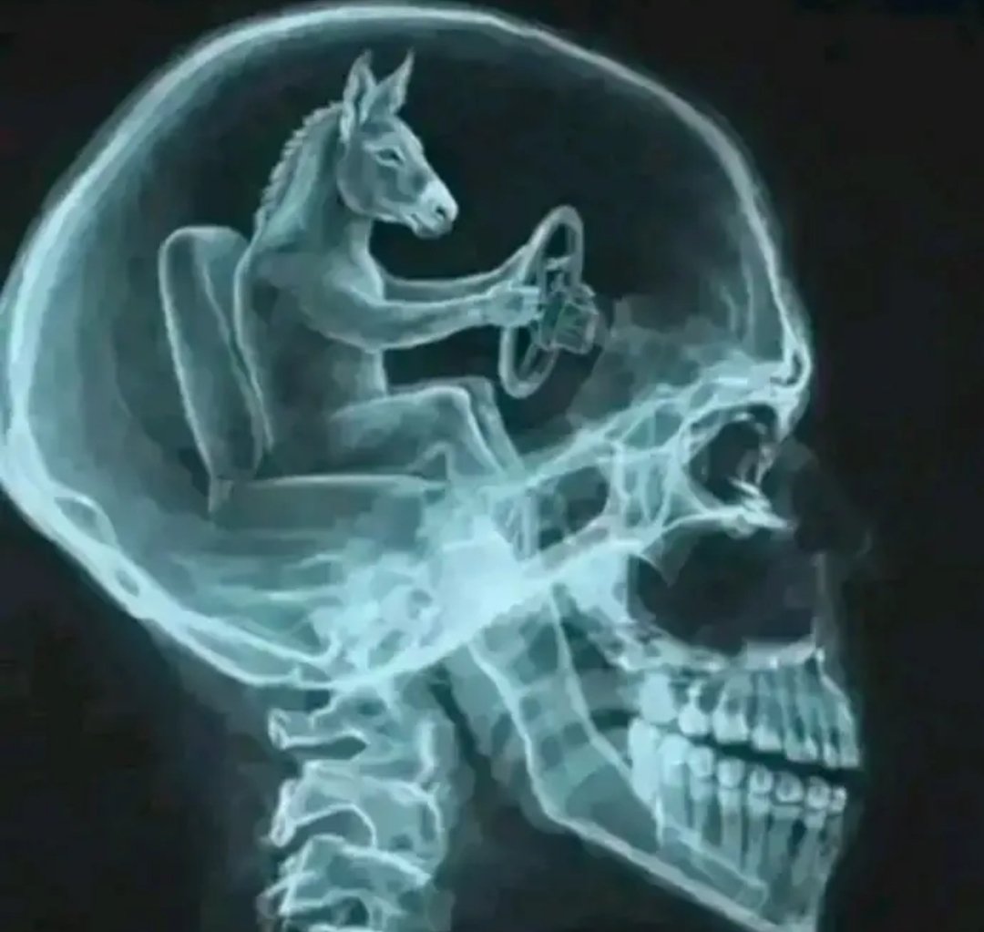 Madridi 🇺🇾 tweet media