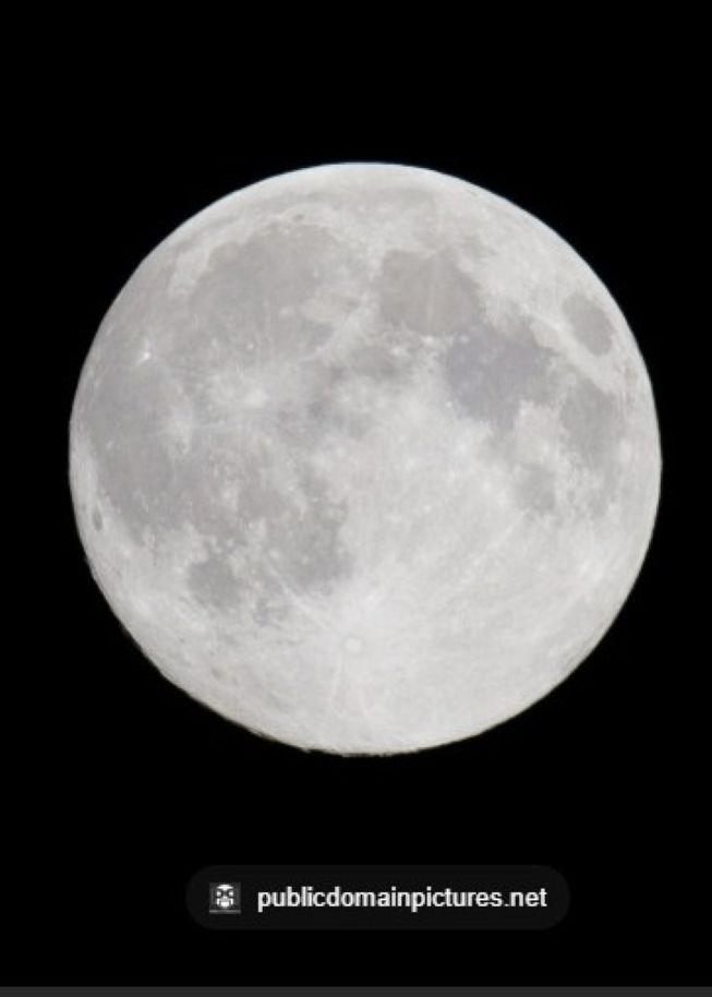 Jeanette Sobey tweet media