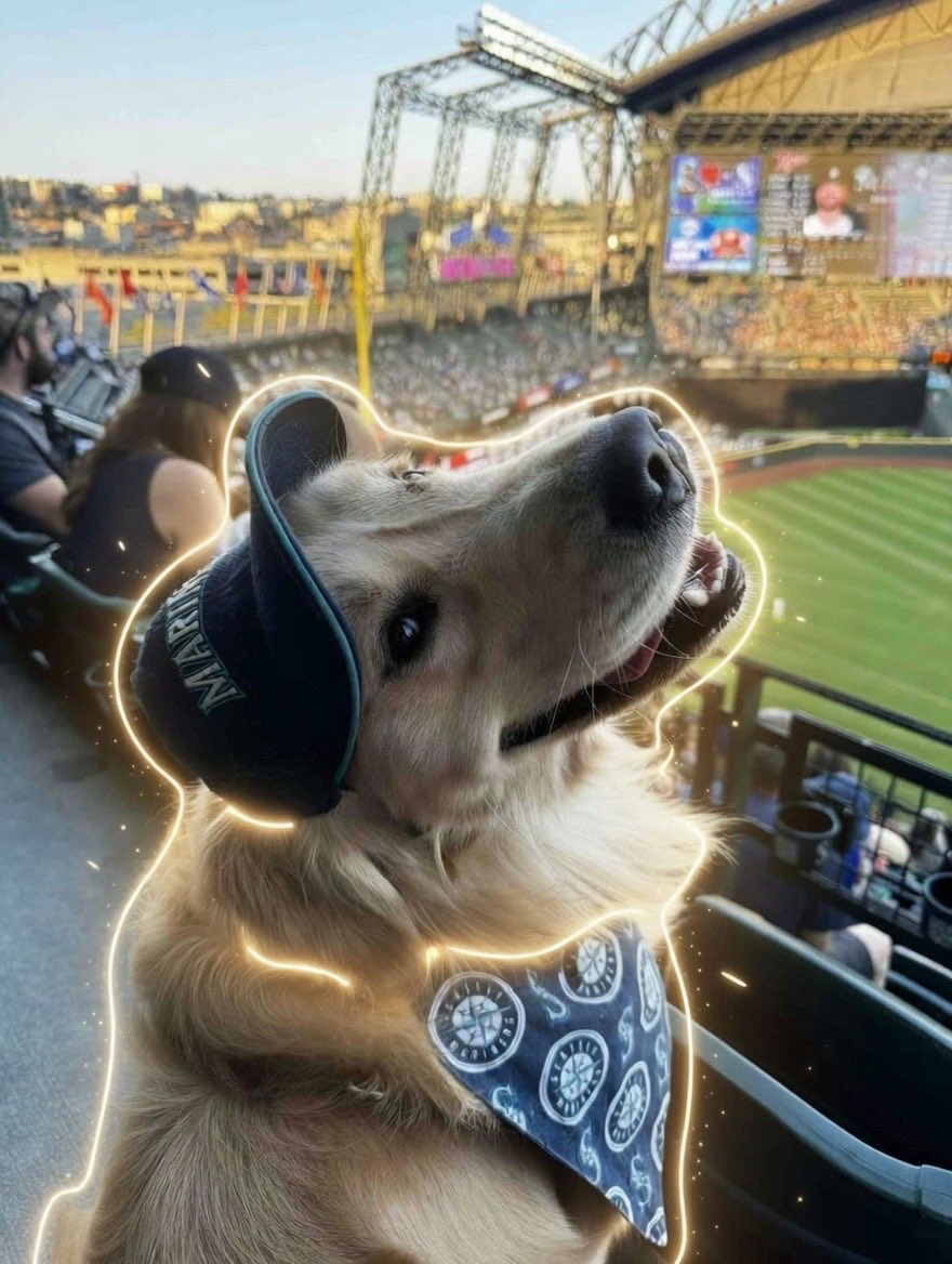 $Chase is getting more viral on X and Chase needs more HOTDOGS.