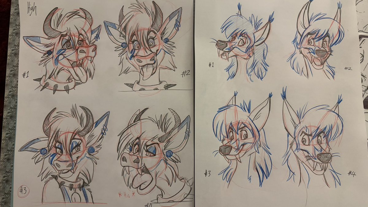 Moxi Foxi tweet media