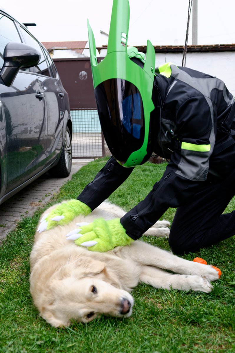 Lime Dev tweet media