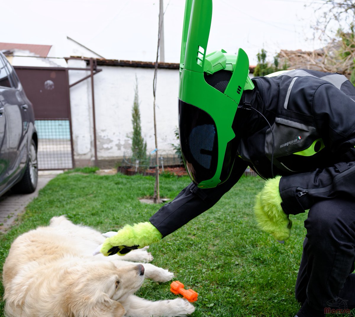 Lime Dev tweet media