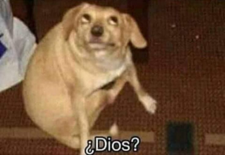 Lucbreon_Shi (COMMISIONS OPEN) tweet media