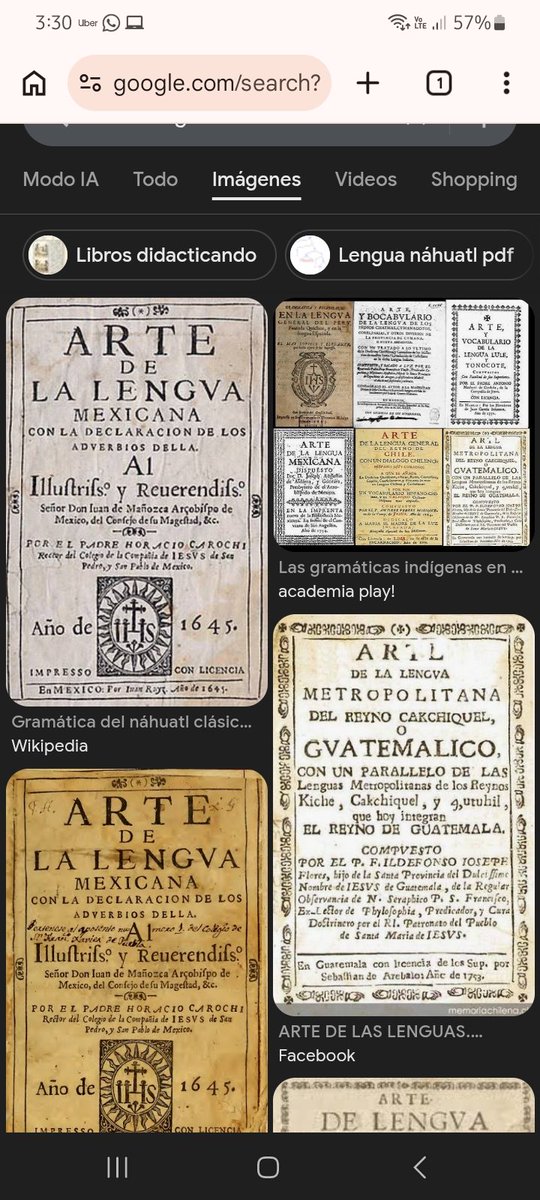 Amarilis tweet media