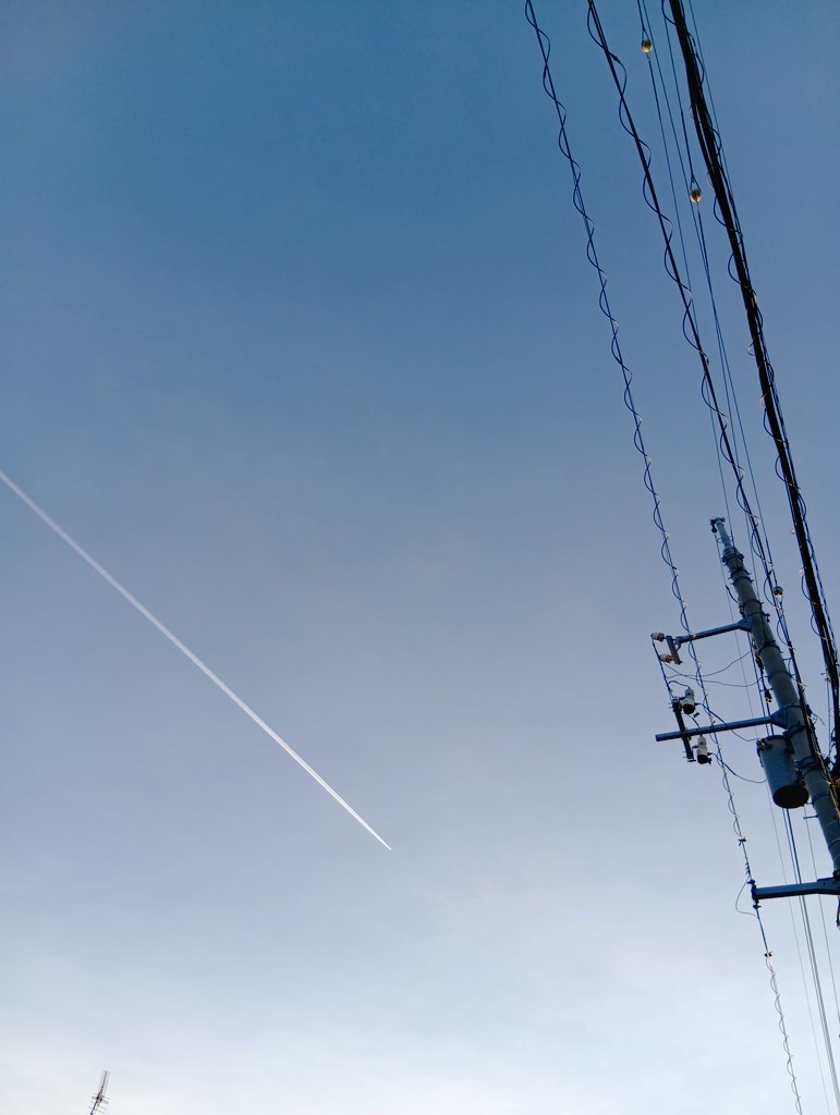 やん坊🎸🐱🦋🍛🍓🧜‍♀🐉🚃6️⃣👑 tweet media