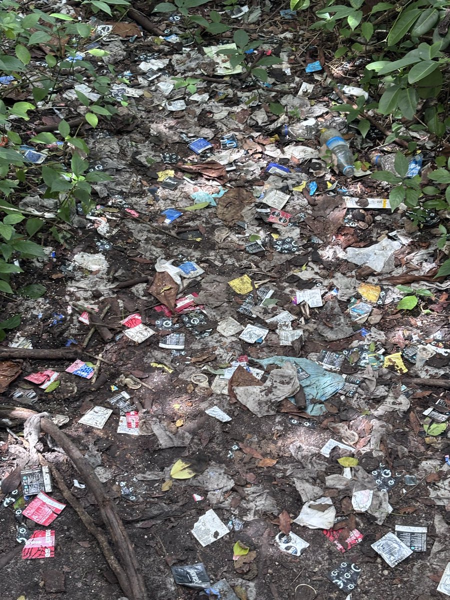 A galera anti Prep acha lindo bater no peito pra falar que não tomam Prep e usam camisinha, adoram crucificar os barebackers, mas na hora de descartar o k4r4Lho da camisinha fazem esse tipo de presepada na natureza. Pow, se vocês vão pro mato com camisinha, lubrificante, papel,