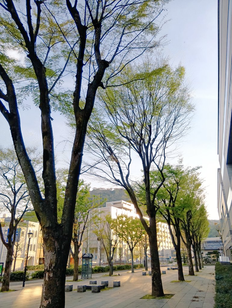 やん坊🎸🐱🦋🍛🍓🧜‍♀🐉🚃6️⃣👑 tweet media