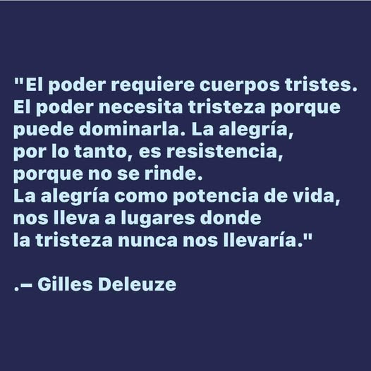 Multiforo Alici@ tweet media