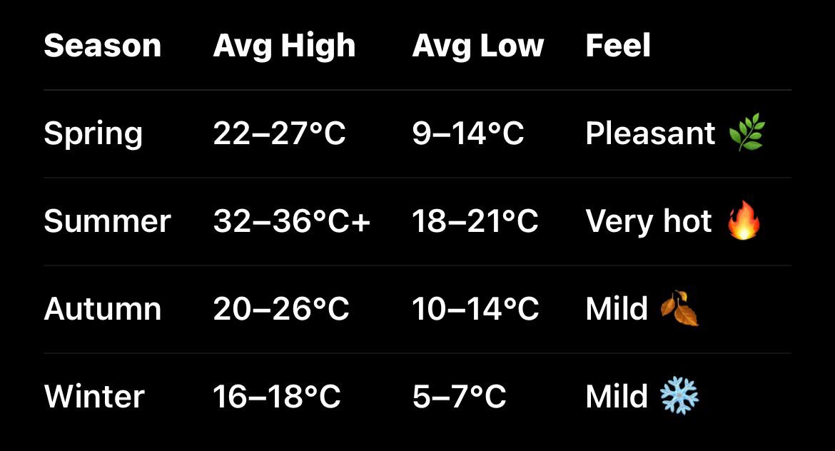 Didier Nuñez Villeda tweet media
