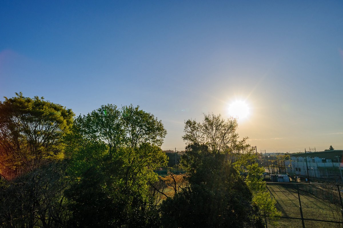 若狭 新一 tweet media