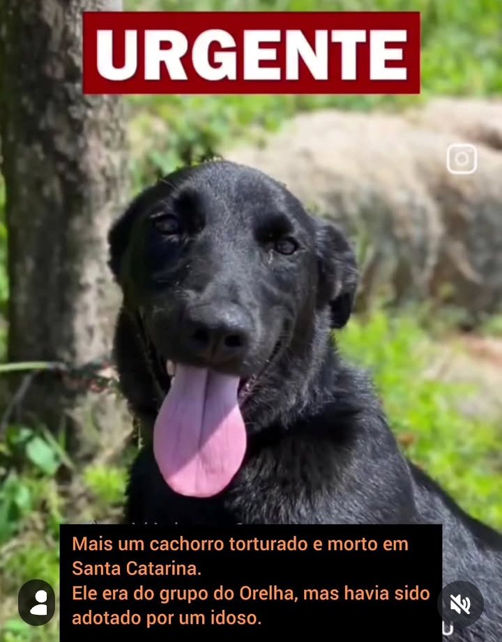 Lola 🧠🎯 tweet media