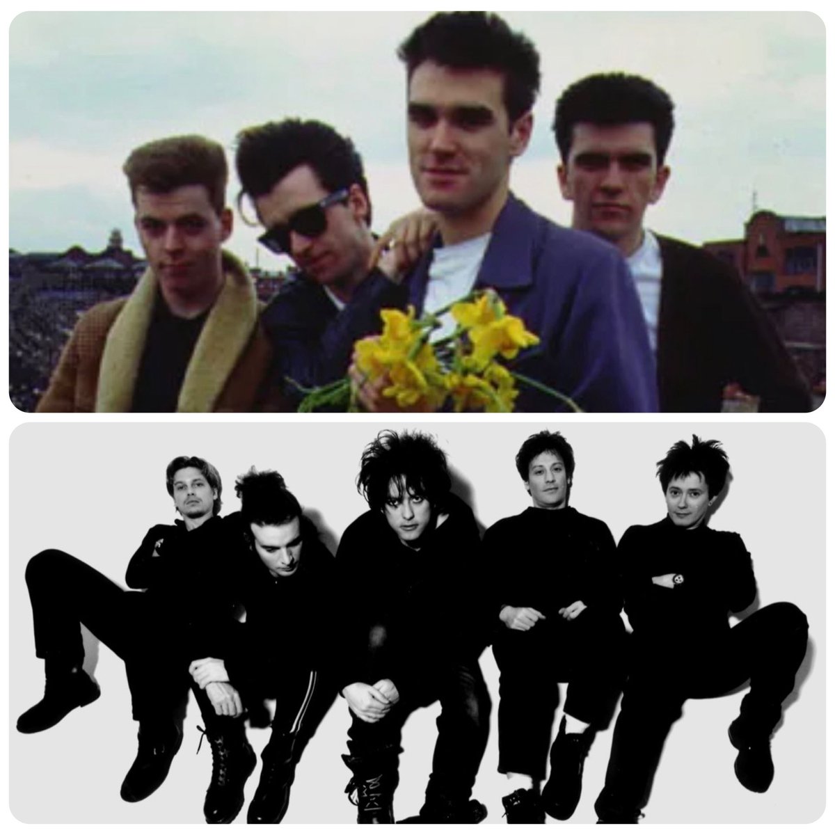 Les Purves tweet media