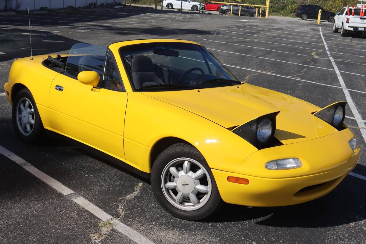 Rowan07_'s tweet photo. @OmegaRedArts1 give me miata bee or give me death https://t.co/gLUFW44dGg
