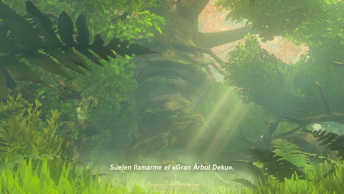 Skeith Automatic tweet media