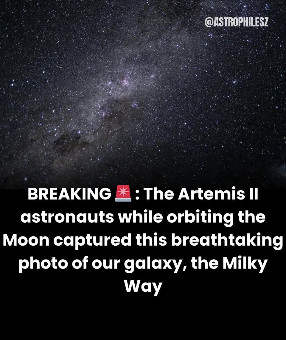 T Episcopo tweet media