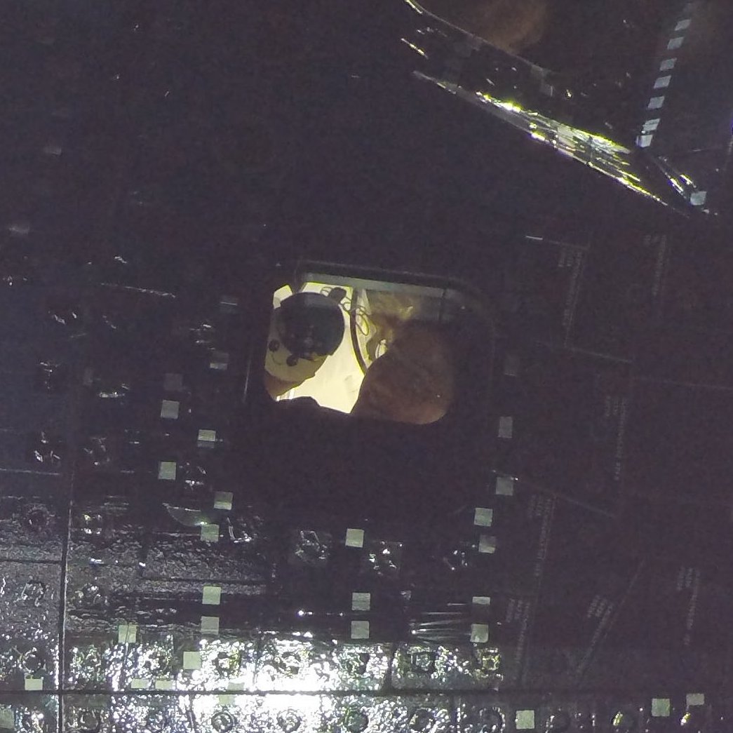 Informa Cosmos tweet media