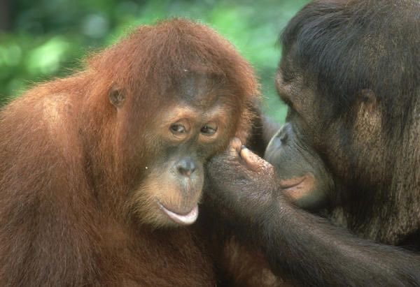 star 💉 tweet media