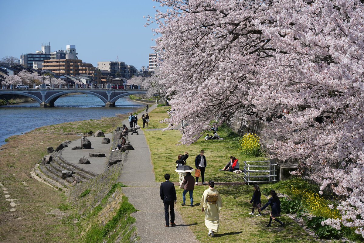 ふらっと金沢 tweet media