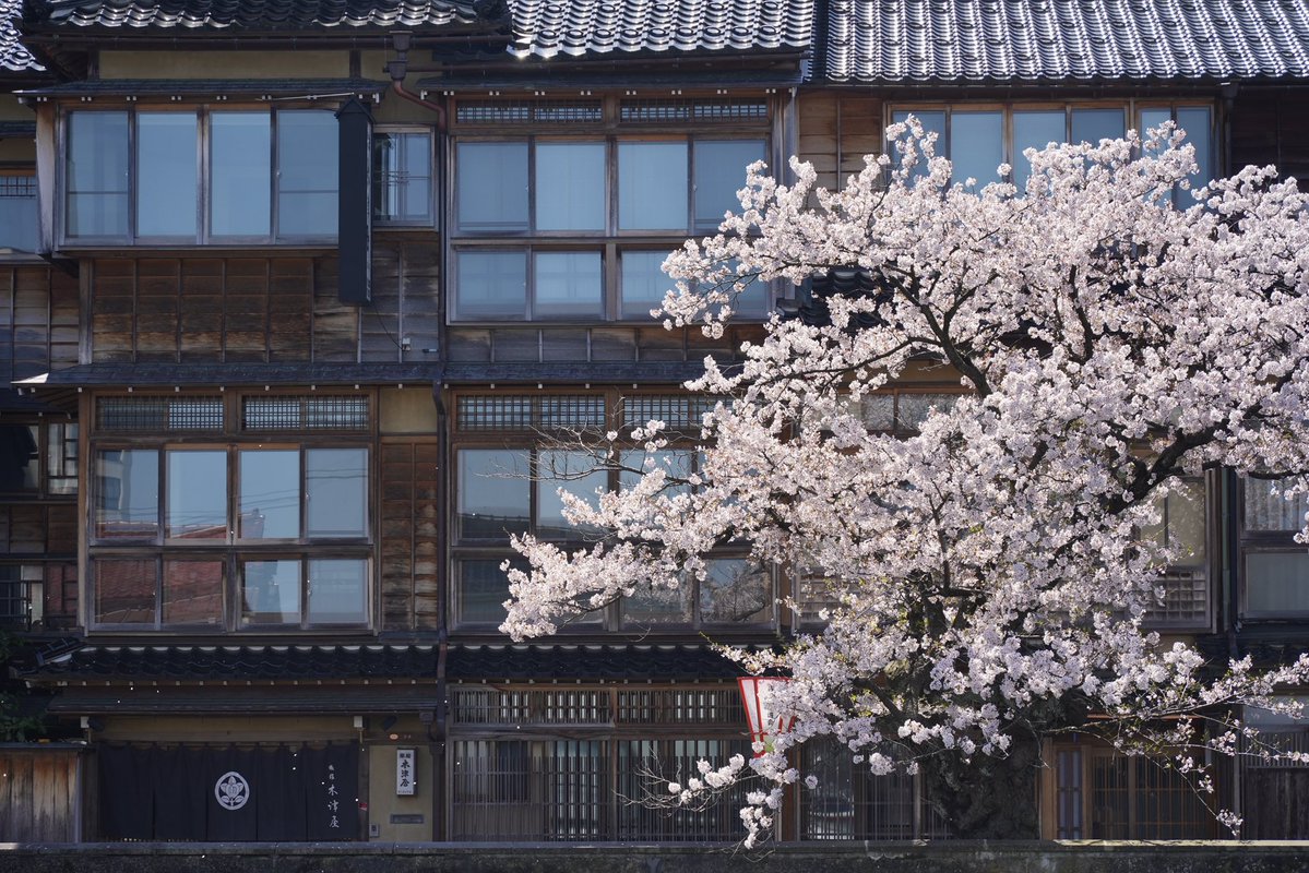 ふらっと金沢 tweet media