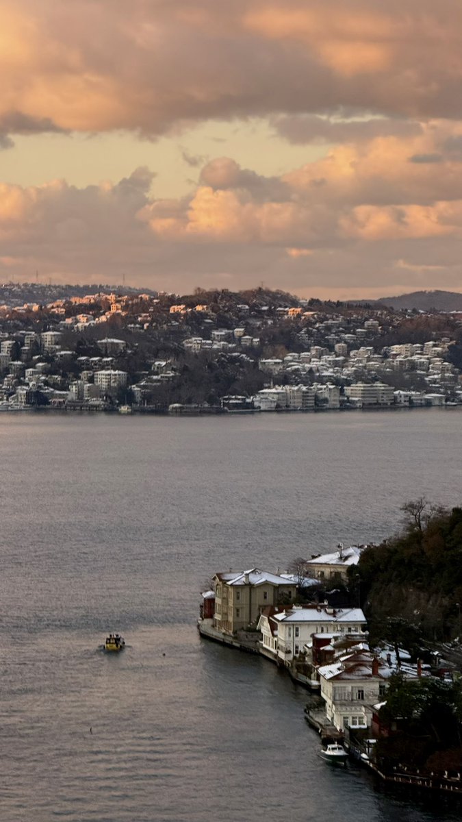 IstanbulLover tweet media