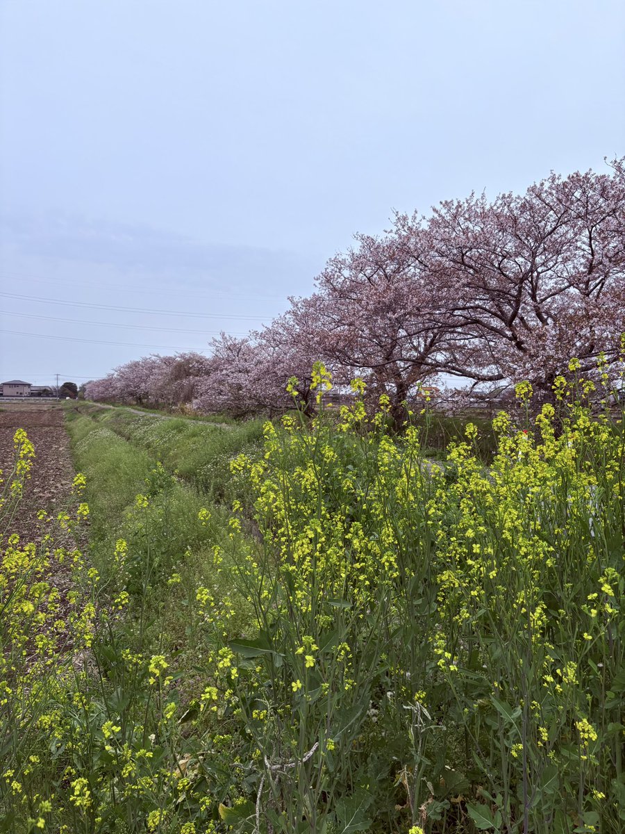 労働者側🕵️‍♀️労働相談 tweet media