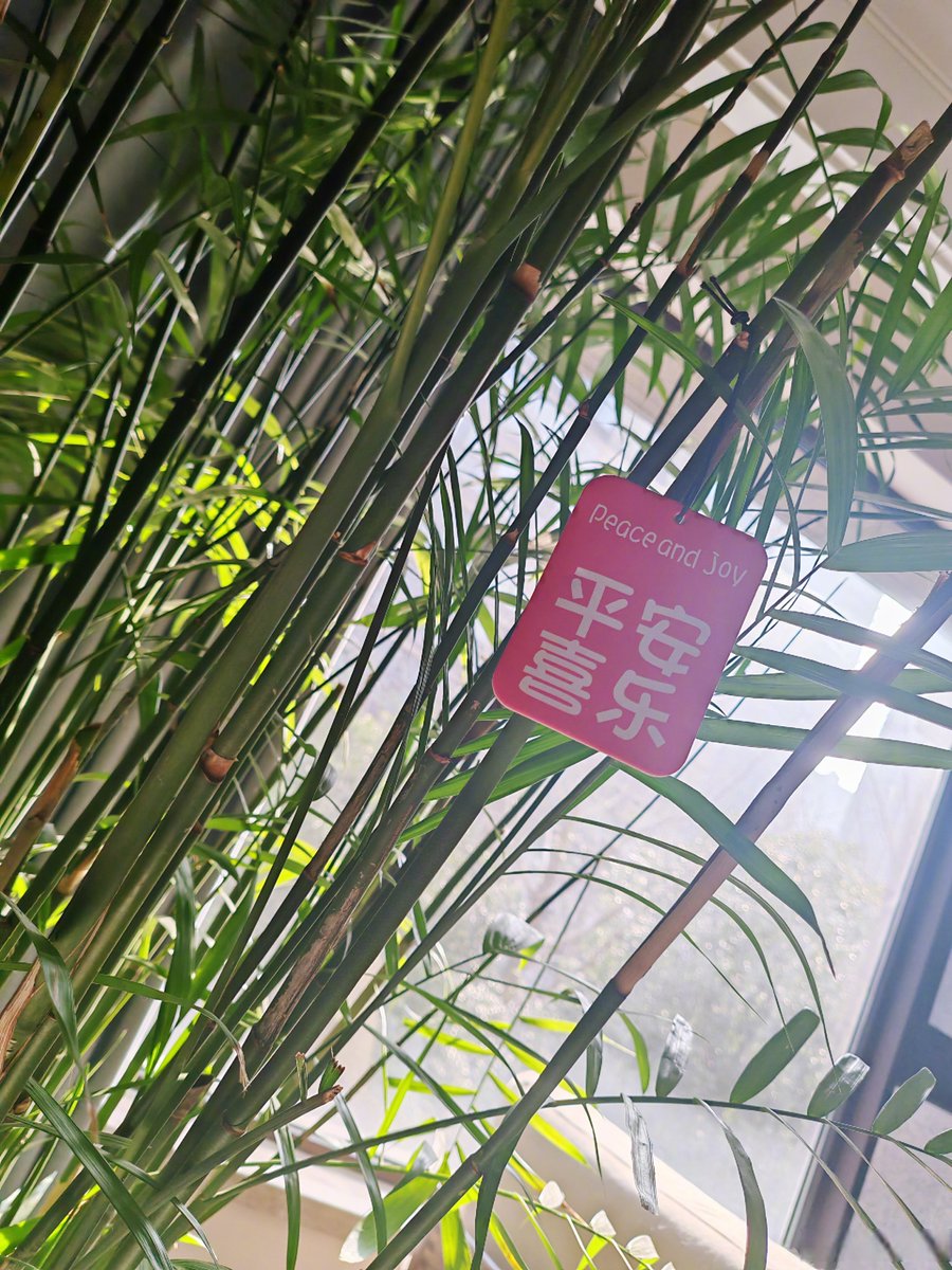 Nahir jofre tweet media