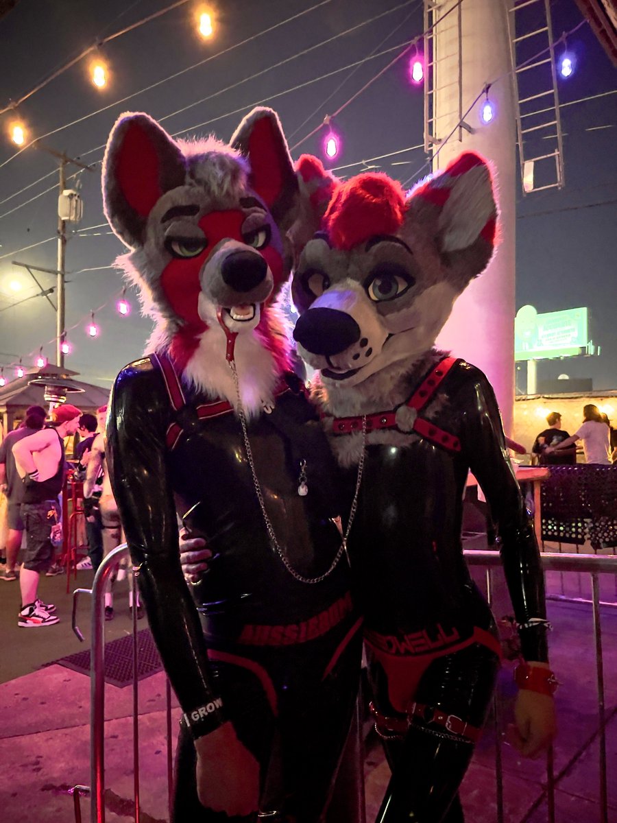 Dayzer 🔜 LVFC tweet media