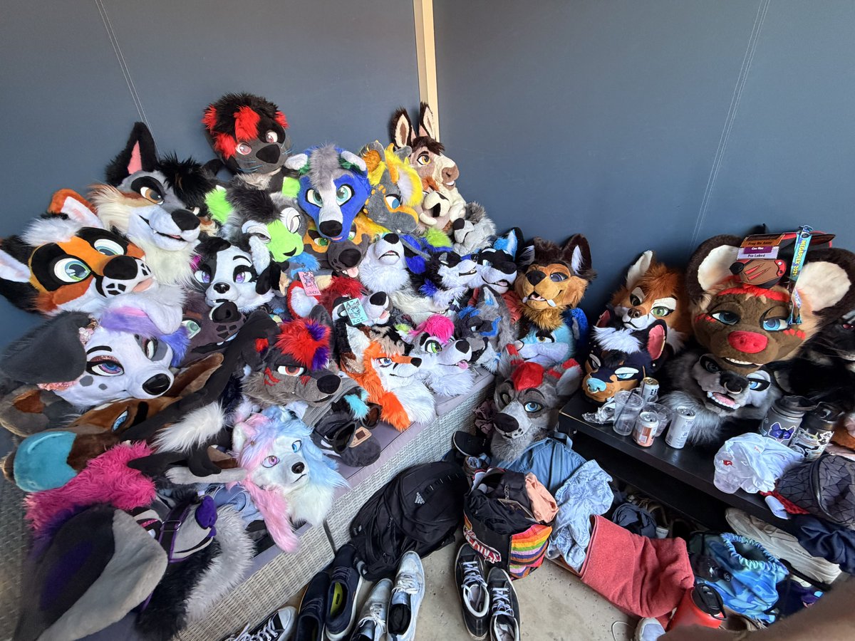 Dayzer 🔜 LVFC tweet media