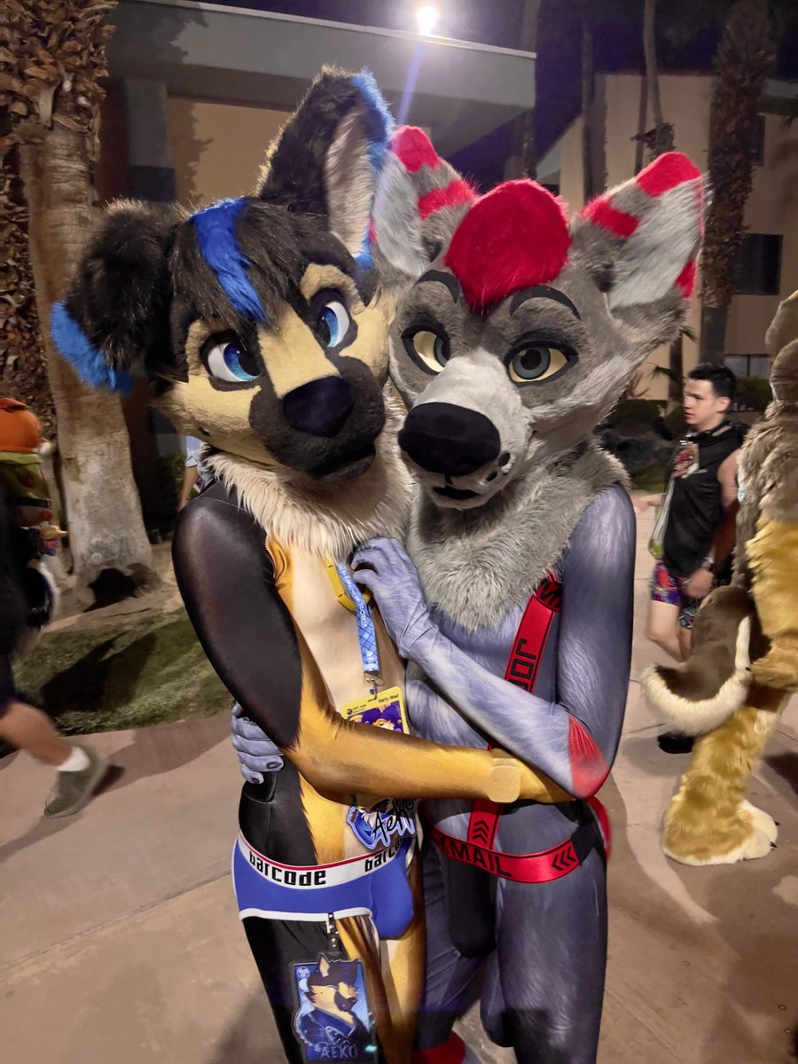 Dayzer 🔜 LVFC tweet media