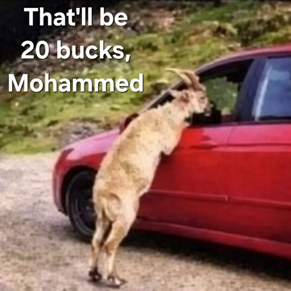 Sirob-Vetit Kryze tweet media